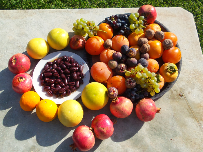 Frische Früchte aus dem Garten